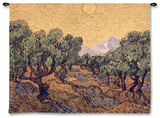 Olive Trees  c1889