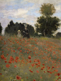 Poppy Field at Argenteuil  c1873