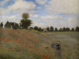 Poppies  c1873