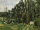 The Poplars  c1879-82