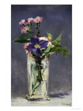 Ragged Robins and Clematis  c1882