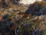 Algerian Landscape  c1881