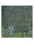 Rose Bushes Under Trees  c1905