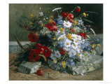 Daisies  Cornflowers Anf Poppies