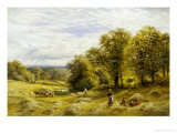 Haymaking