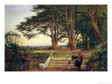Reading on the Terrace Steps
