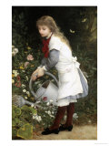 In the Secret Garden