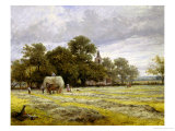 Haymaking