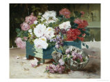 Pink and Red Roses