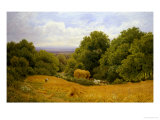 Conyhurst Looking Towards Shoreham Gap  Surrey