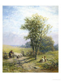 Beautiful Summer's Day