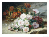 Roses and Gillyflower
