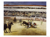 Bullfight  c1865