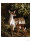 Doe with Her Fawn