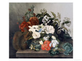 Still Life with Squirrel