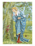 The Lover's Tree