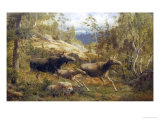 Family of Moose