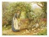In an Orchard