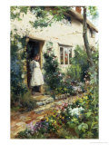 Pretty Cottage Garden