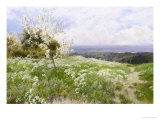 Spring Blossom