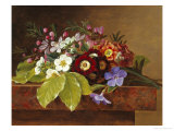 Bouquet of Apple and Cherry Blossoms  and Primula