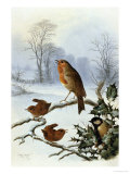 Christmas Robin and Friends