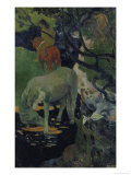 The White Horse  c1893