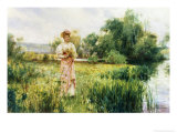 Picking Wild Flowers
