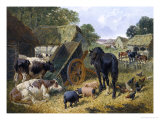 Busy Farmyard