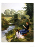 Summer Day