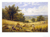 Harvesting