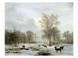 Winter Landscape