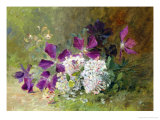 Clematis and Honeysuckle