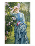 In the Rose Garden