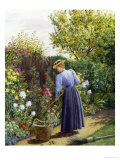 Day in the Garden