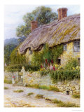 Ivy Cottage