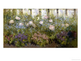The Herbacious Border