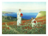 Gathering Poppies
