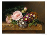 Bouquet of Pink Camellias and Primula on Marble Ledge