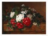 Hawthorn on a Marble Ledge