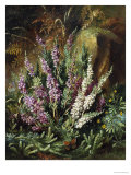 Still Life of Heather and Butterflies