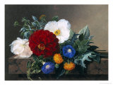 Dahlia with White Poppies  Cherianthus and Morning Glories