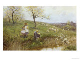 Picking Primroses