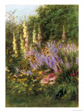 Corner of a Garden