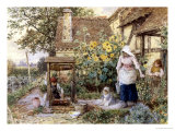 Cottage Well