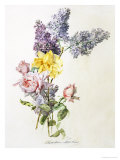Study of Lilac and Roses