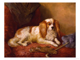 Man's Best Friend