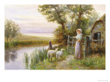 Awaiting the Return of the Sheep in the Sunset