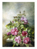 Romantic Roses