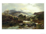 On the Falloch